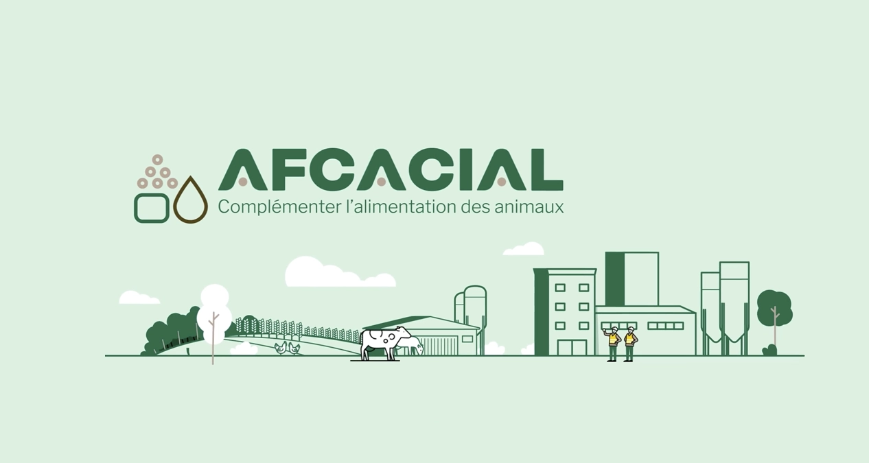 Motion design Afca-cial